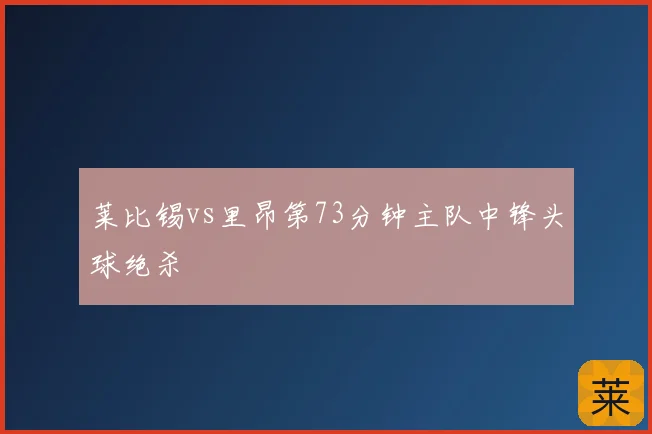 莱比锡vs里昂第73分钟主队中锋头球绝杀